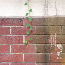 -奥丽维娅美容养生会所