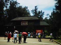 -大京沙滩