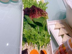 -南门四季铜锅涮肉(大屯·北苑店)