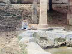 -杭州野生动物世界