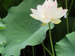 -北京动物园-畅观楼