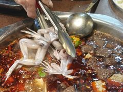 牛蛙和鱼三斤-青山青豆花·笑禅豆腐鱼(黄泥塝店)