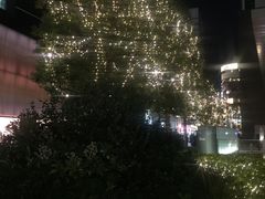 -矢场猪(名古屋站三井楼北馆店)