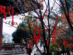 -西安青龙寺遗址景区