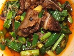 回锅肉-初蓉丨遇见新川菜(亲贤街荣耀店)
