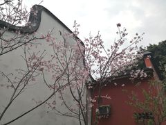-乌山风景区