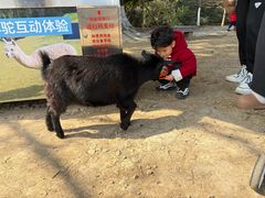 -宁波野生动物园