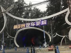 -枫花园汽车电影院(朝阳公园店)