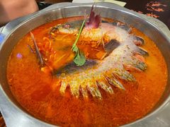 鮰鱼-芦苇荡·酸汤鱼(回龙观店)