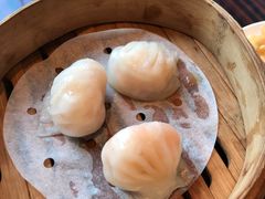 -新天世纪中餐厅