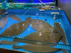 -羊汤研究所(茶苑海口路店)