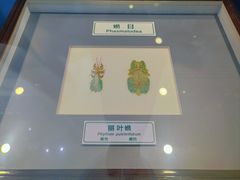 -上海昆虫博物馆