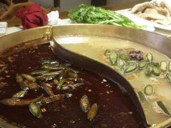 android_upload_pic-杨家火锅(国美店)