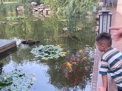 -陕西汤峪会议中心温泉酒店