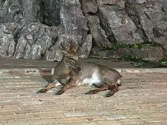 -八景休閒山莊  廣東十大名山莊