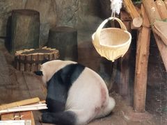-深圳野生动物园