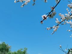 -杭州滨江区图书馆科技分馆