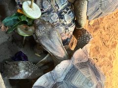 -上海昆虫博物馆