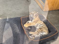 -大连森林动物园