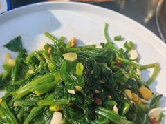 -都江堰石锅鱼