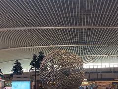 -青岛胶东国际机场