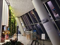 -WFC会仙楼观景台