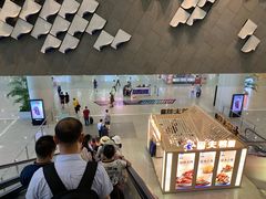 -上海浦东国际机场-T2航站楼