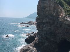 -杨梅坑