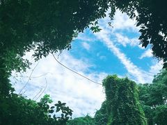 -城隍阁