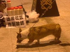 -大召寺明清一条街