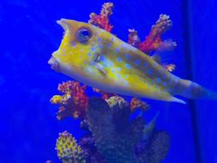 -多彩贵州城极地海洋世界