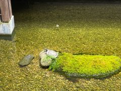 -几荷·恰似故人来(秀水广场店)