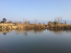 -西昌邛海湿地