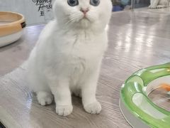 -宠物世家(仲盛世界商城店)