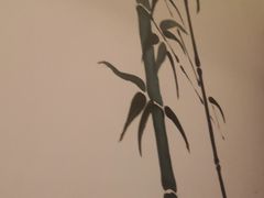 -养心阁足道馆(火宫殿一店)