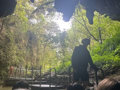 -怀托摩萤火虫洞