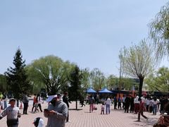 -红碱淖景区