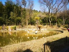 -杭州野生动物世界