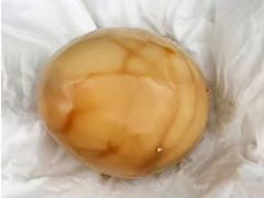 -金盆阿嬷香菇茶叶蛋(玄光店)