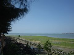 -万绿园