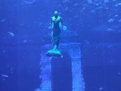 -南昌融创海世界