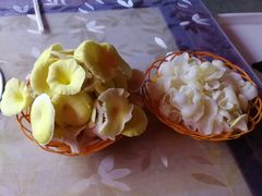 -仙蘑洞
