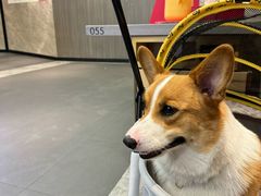 -海底捞火锅(亲子主题北金鹰店)