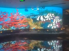 -唐宫足道·SPA·住宿24H会所(木渎店)