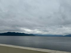 -东郊椰林