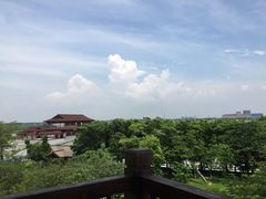 -大湾区中央湿地公园