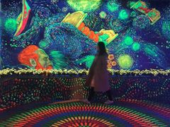 -南昌梵高星空艺术馆