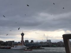 -福冈国际邮轮码头