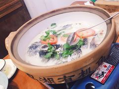 -全乐鱼馆·淳牌有机鱼直营店