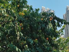 -李叔同故居纪念馆